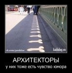 x_0547bf1d.jpg
