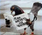 x_9234cc7c.webp
