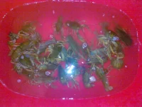 02032012026.webp