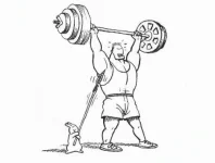 3.webp