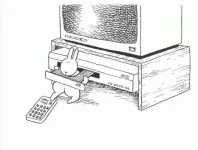 26.webp