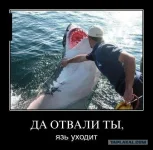90.webp