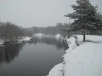 DSCN1277.webp