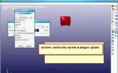 5.webp