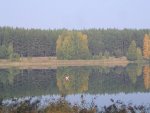 На Белом 033.jpg