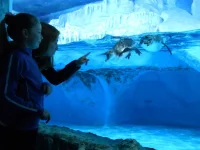 DSCN1282.webp