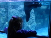 DSCN1284.webp