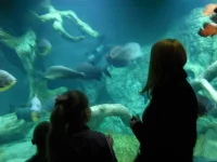 DSCN1288.webp
