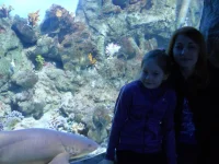DSCN1292.webp