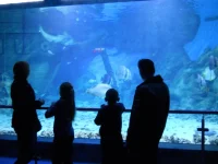 DSCN1293.webp