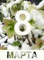 images.webp