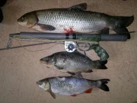 07032012149.webp