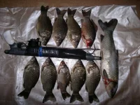 08032012158.webp