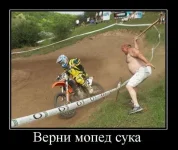 97.webp