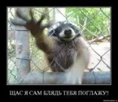 zZpaLP5yS1HVmN.webp