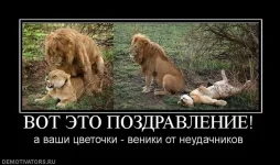 95.webp