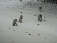DSC03280.webp