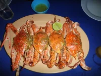 DSC03526.webp