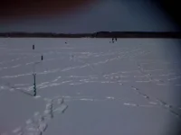 маяк 001.webp маяк 001.webp
