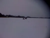 маяк 004.webp маяк 004.webp