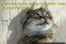 x_e6c830b1.webp