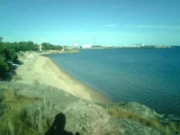 img019.webp