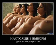 93.webp