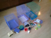 20120314_122756.webp