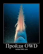 0514ed3753fc.webp
