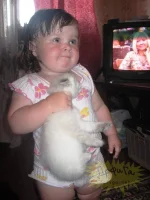 111074.webp
