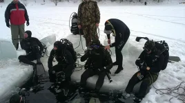 17032012032.webp