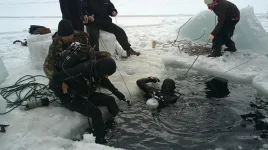 17032012033.webp