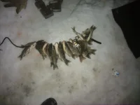 18032012151.webp