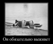102.webp