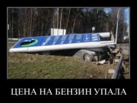 105.webp