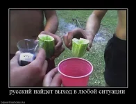 953062_russkij_najdet_vyihod_v_lyuboj_situatsii_2.webp
