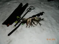 DSCN1475.webp