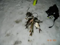DSCN1476.webp