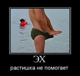 31.webp