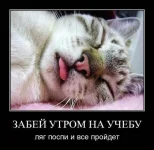 96.webp