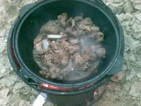 10012010(004).webp