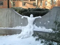 SNOW2.webp