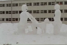 SNOW3.webp