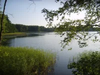 S6001419.webp