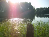 S6001445.webp