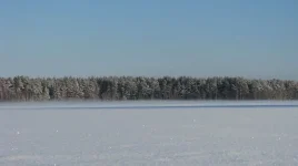 IMG_7168.webp