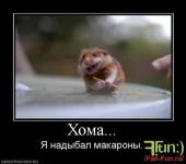 homyak.webp homyak.webp