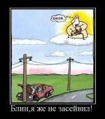 11.webp