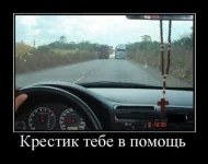 14.webp