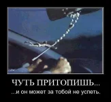 16.webp